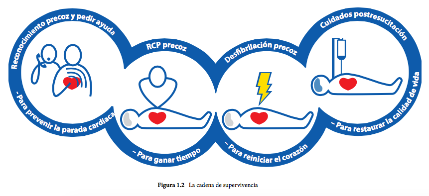 Cadena supervivencia 2015